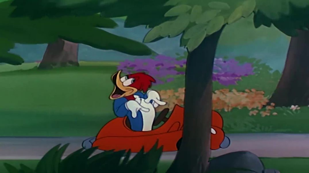 WOODY WOODPECKER WELL OILED FULL EPISODE OLD CARTOONS VIDEOS FOR KIDS HD